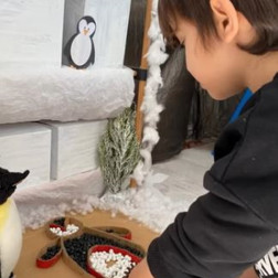 Kutup Dünyasında Duyusal Oyun