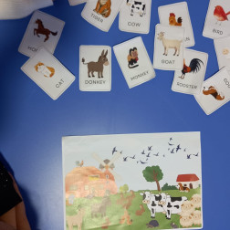 🐾 English Lesson: Animals 🐶🐱