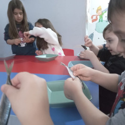 🐟 Keşif Etkinliği: İstavrit Balığı 🌊