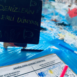 DENİZLERİN GİZEMLİ DÜNYASI  🐟🐠🌊🦀🐡🐳🐬🐙🦪