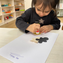 Şekil Kolaj Çalışması