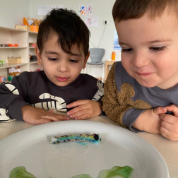 ✨ Sihirli Peçete Deneyi