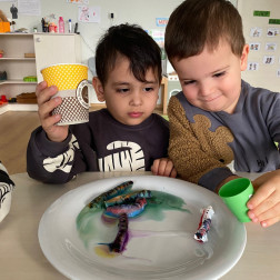 ✨ Sihirli Peçete Deneyi