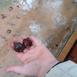 🔍 Doğayı Keşfediyorum