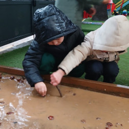 🔍 Doğayı Keşfediyorum