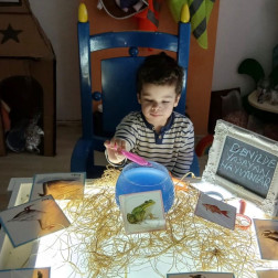 Canlıları Tanıyorum – Hayvanlar Dünyası