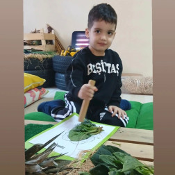 Doğayı Keşfediyorum – Yaprak İnceleme