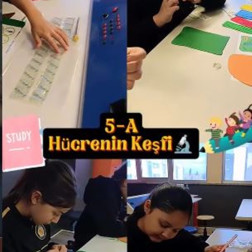 🔬 Küçük Mucitler Yaşamın Temeline İniyor!