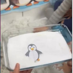 🐧 Minik Bilim İnsanları İş Başında: Penguenlerin Buzlu Dünyasını Keşfediyoruz!