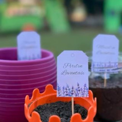 Nar’da Yaşam Küçük Anlarda Saklıdır