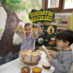 🌾 Buğdayın Topraktan Soframıza Mucizevi Yolculuğu!