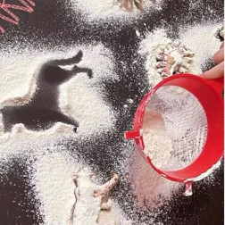 🐾 Unun İçindeki Gizem: Nesnelerin Gölgesi!