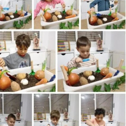 Toprakta Keşif: Sebze ve Bitki Tanıma Atölyesi