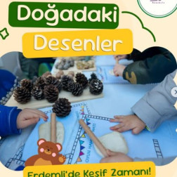 Doğadaki Desenler İnceleme Atölyesi