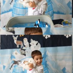 Kutup Dünyasını Keşfediyoruz