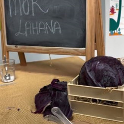 Mor Lahana Bilim Deneyi