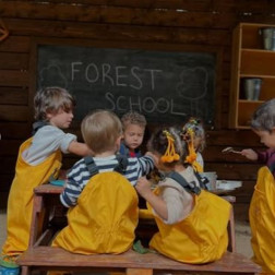 Orman Okulu Keşif Masası Çalışması