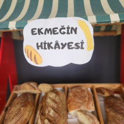 Ekmeğin Hikâyesi – Tarladan Sofraya