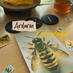 Arıların Yolculuğu Keşif Etkinliği