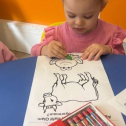 Hayvan Figürü Boyama Etkinliği