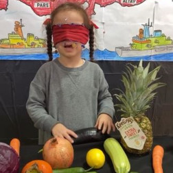 👃 Tat ve Koku Tahmin Oyunu