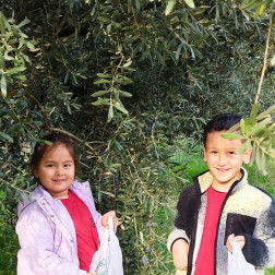 🌱 Deneyimle öğrenme, en kalıcı izdir.