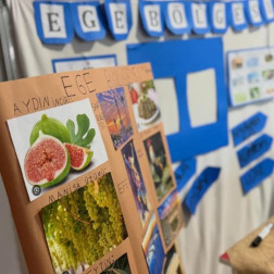 🍇 Ege'nin İncilerini Keşfediyoruz! ☀️