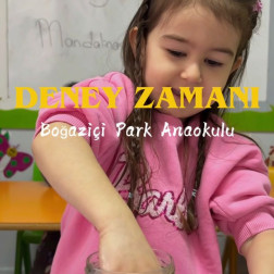 Yüzer mi Batar mı Deneyi