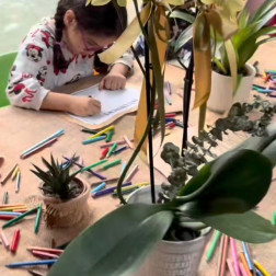 Renklerle Özgür Tasarım