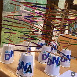 DNA Modeli Oluşturma Çalışması