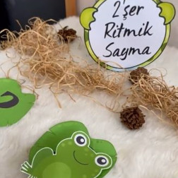 2’şer Ritmik Sayma Çalışması