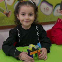 Hareketli Devre Modeli