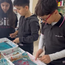 Deney ve Keşif Atölyesi Çalışması