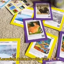 Hayvanları Keşif Etkinliği