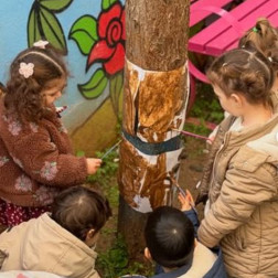 Doğada Ortak Sanat Çalışması