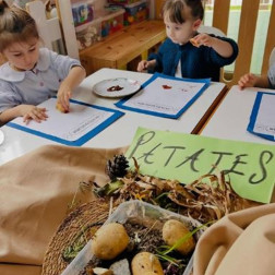 🥔 Doğayı Tanıyoruz: Patatesi Keşfediyoruz