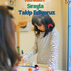 🎨 Renkleri Sırayla Takip Ediyoruz