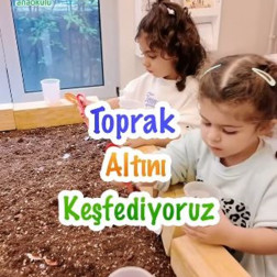 🌱 Toprak Altını Keşfediyoruz