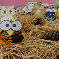 🦉 Doğanın Kalbinden Sınıfımıza: Minik Baykuşlar İş Başında!