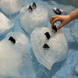 Antarktika ; duyusal bütünleme ve çevresel uyaranlar.