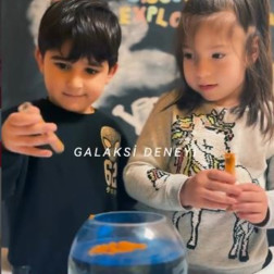 🌌 Galaksi Deneyi Yapıyoruz