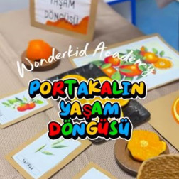 🍊 Portakalın Yaşam Döngüsünü Öğreniyoruz