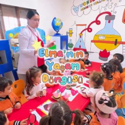 🍎 Elmanın Yaşam Döngüsünü Keşfediyoruz