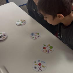 🎯 Görsel Dikkat ve Eşleştirme Oyunu