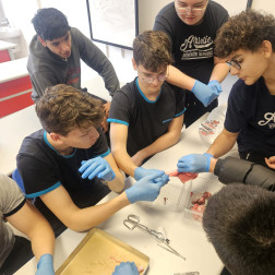 Boşaltım ve Solunum Sistemini Keşfediyoruz !