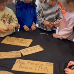 Manyetik Kutuplar Deney Etkinliği