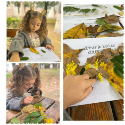 Doğa Keşfi: Yaprak Koleksiyonu Etkinliği