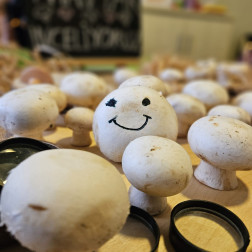 Özel Şen Anaokulu Minik Şefler Mutfakta Mantarla Tanıştı 🍄👩‍🍳