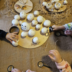 Özel Şen Anaokulu Minik Şefler Mutfakta Mantarla Tanıştı 🍄👩‍🍳