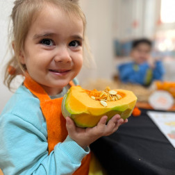 BAL KABAĞININ YOLCULUĞU